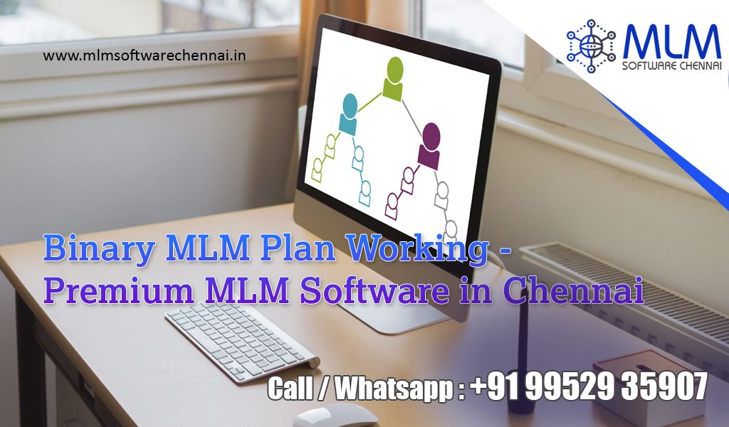 Binary-MLM-plan-working-chennai