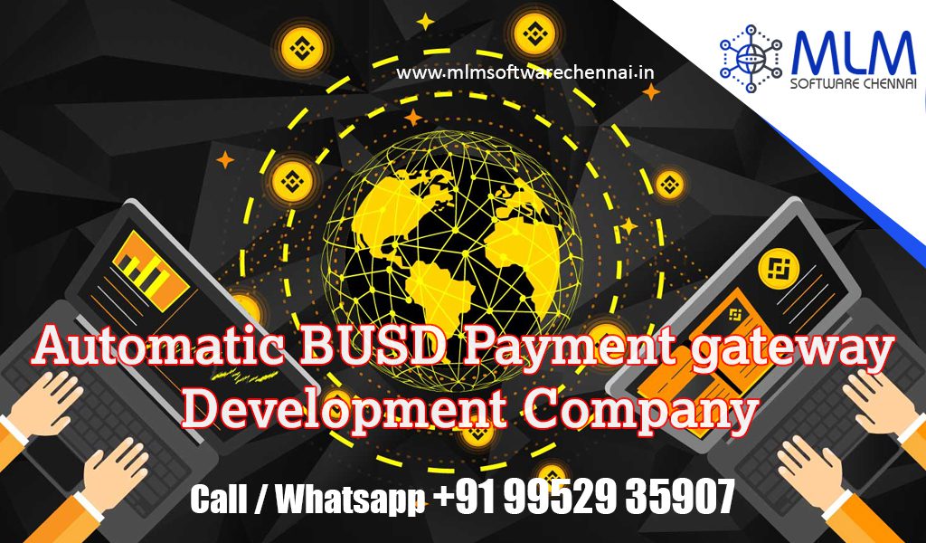 Automatic-BUSD-payment-gateway-development-company-chennai